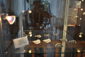 small_DSC_0150