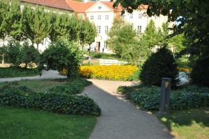 small_DSC_0160