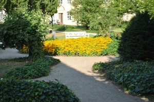 small_DSC_0161