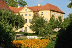 small_DSC_0162