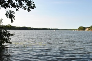 small_DSC_0165