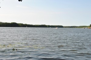 small_DSC_0166