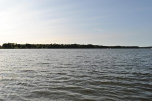 small_DSC_0170