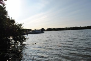 small_DSC_0171