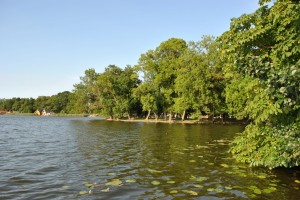 small_DSC_0172
