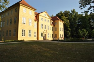 small_DSC_0174
