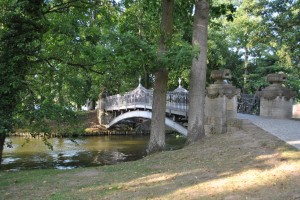 small_DSC_0176