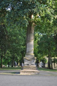 small_DSC_0178