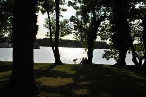 small_DSC_0184