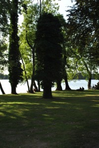 small_DSC_0185