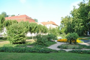small_DSC_0188