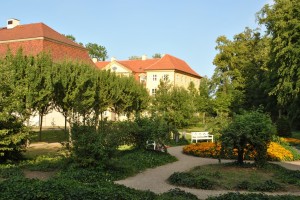 small_DSC_0189