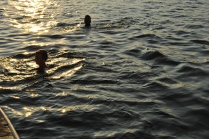 small_DSC_0202