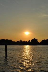 small_DSC_0207