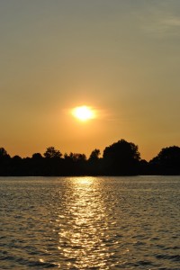 small_DSC_0208