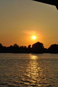 small_DSC_0218