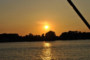 small_DSC_0219