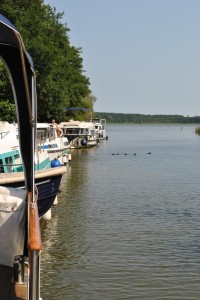 small_DSC_0224