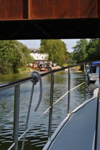 small_DSC_0225