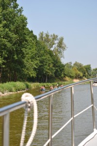 small_DSC_0229