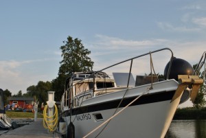 small_DSC_0243