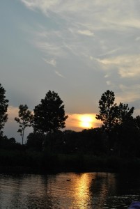 small_DSC_0245