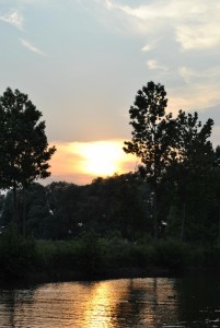 small_DSC_0246