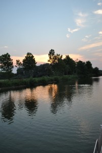 small_DSC_0250