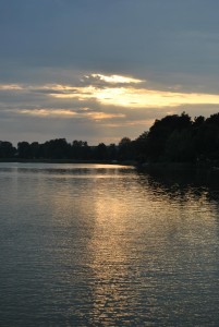 small_DSC_0277