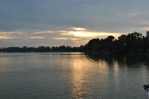 small_DSC_0278