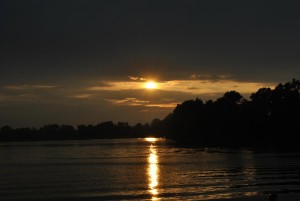 small_DSC_0282