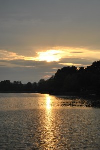 small_DSC_0283