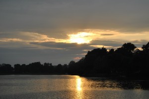 small_DSC_0284
