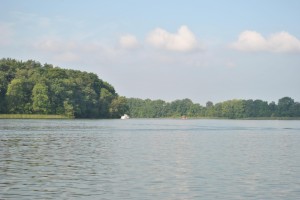 small_DSC_0293