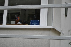 small_DSC_0295