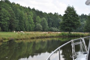 small_DSC_0296