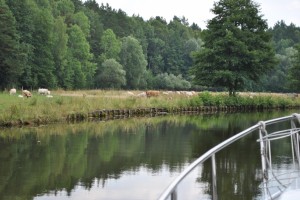 small_DSC_0297