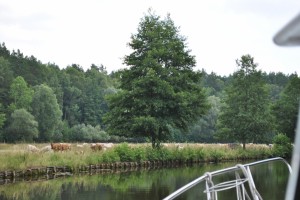 small_DSC_0298