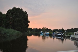 small_DSC_0301