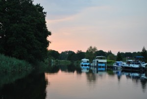 small_DSC_0302