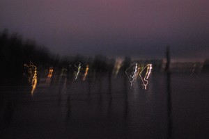 small_DSC_0331