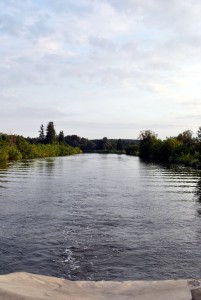 sm_DSC_0310