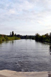 sm_DSC_0311