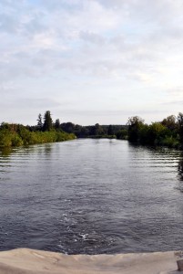 sm_DSC_0312