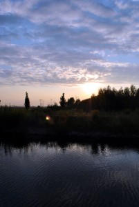 sm_DSC_0325