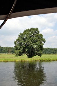 sm_DSC_0363