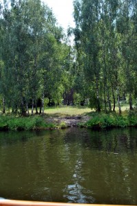 sm_DSC_0364