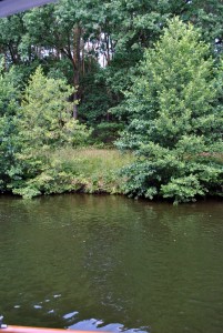 sm_DSC_0369