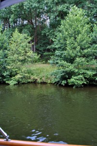 sm_DSC_0370