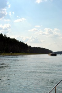 sm_DSC_0392